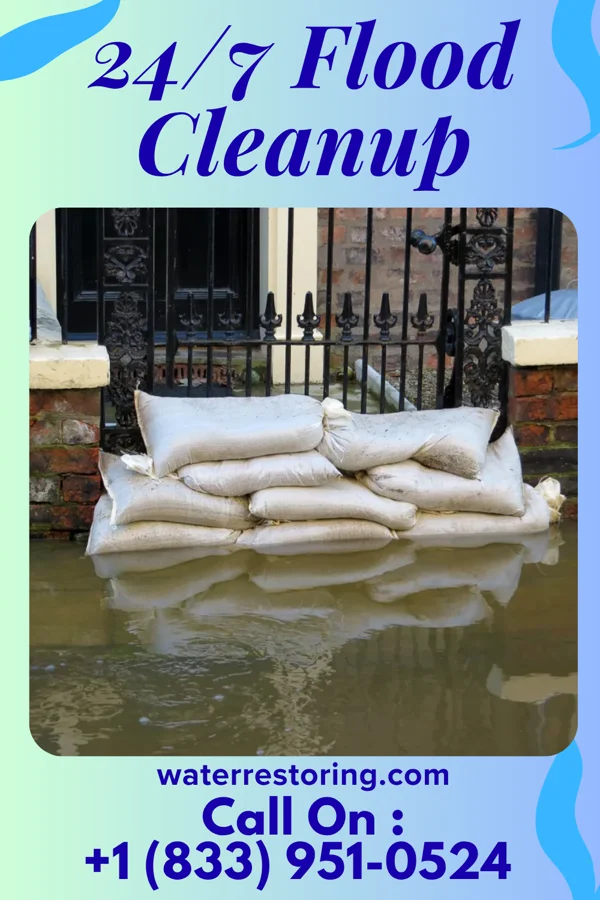 24/7 Flood Cleanup in East Alto Bonito, TX