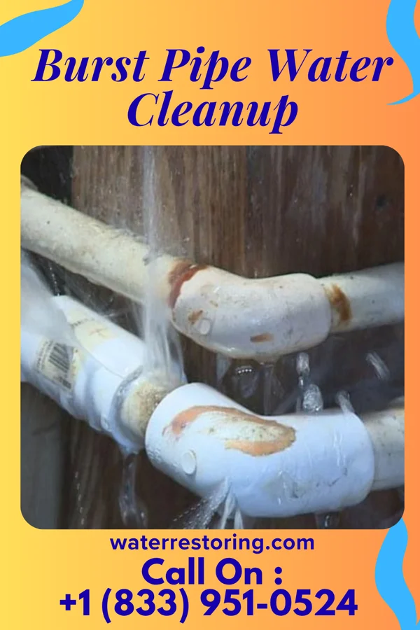 Burst Pipe Water Cleanup in East Alto Bonito, TX