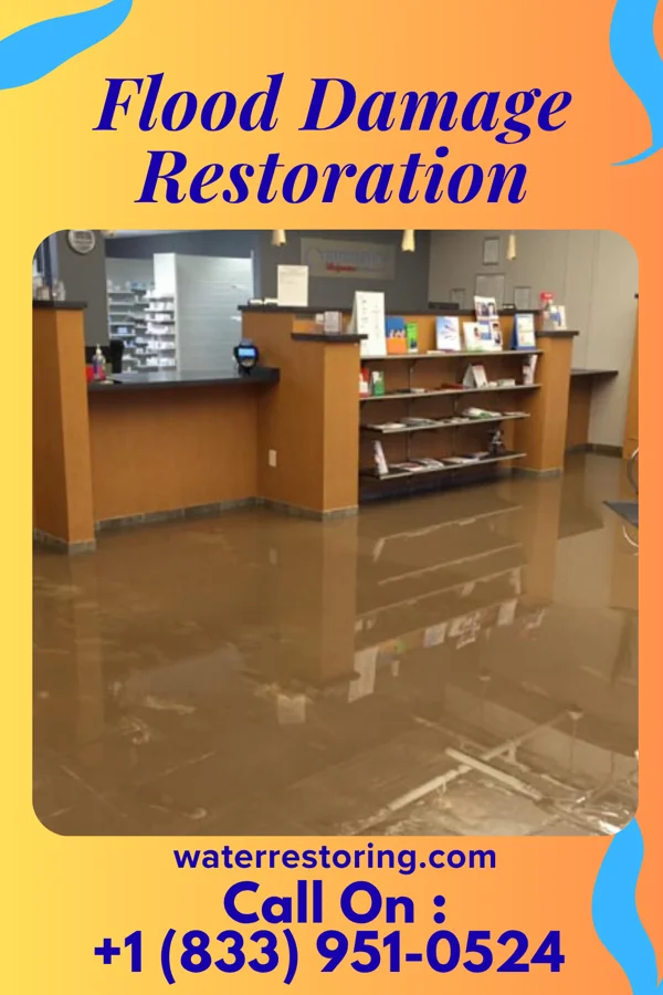 Flood Damage Restoration in East Alto Bonito, TX