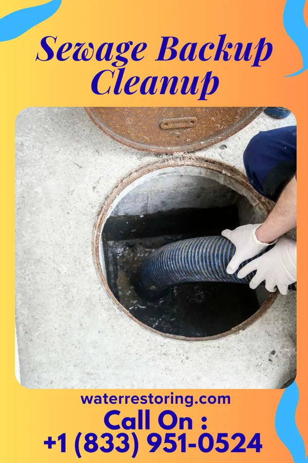Sewage Backup Cleanup in East Alto Bonito, TX