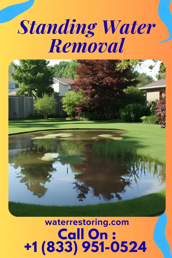 Standing Water Removal in East Alto Bonito, TX